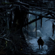 Illustration for article titled The First emDawn of the Planet of the Apes/em Clip Gave Us Chills